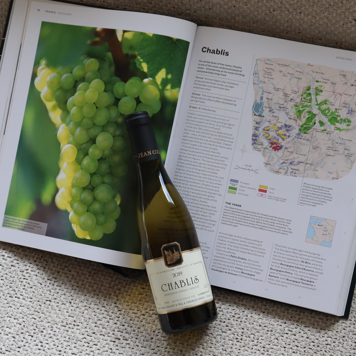 Domaine Jean Collet Chablis 2019 — foto 2