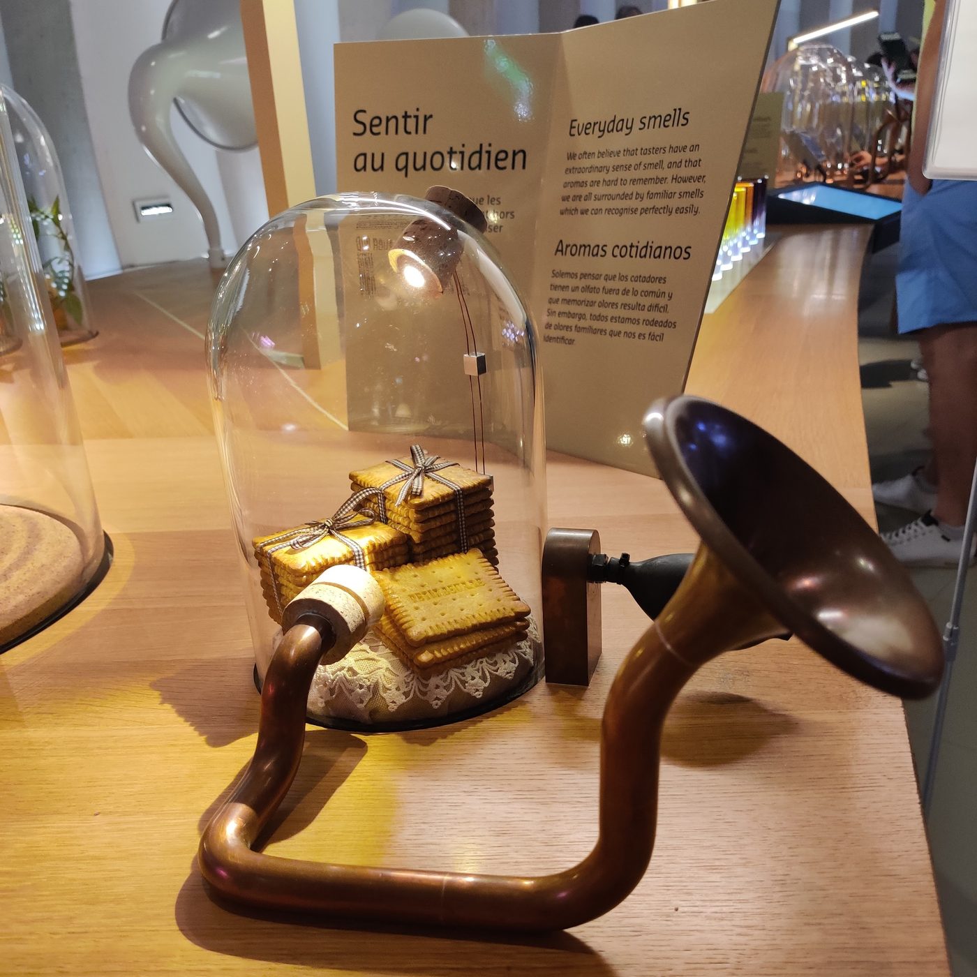 La Cité du Vin — foto 3