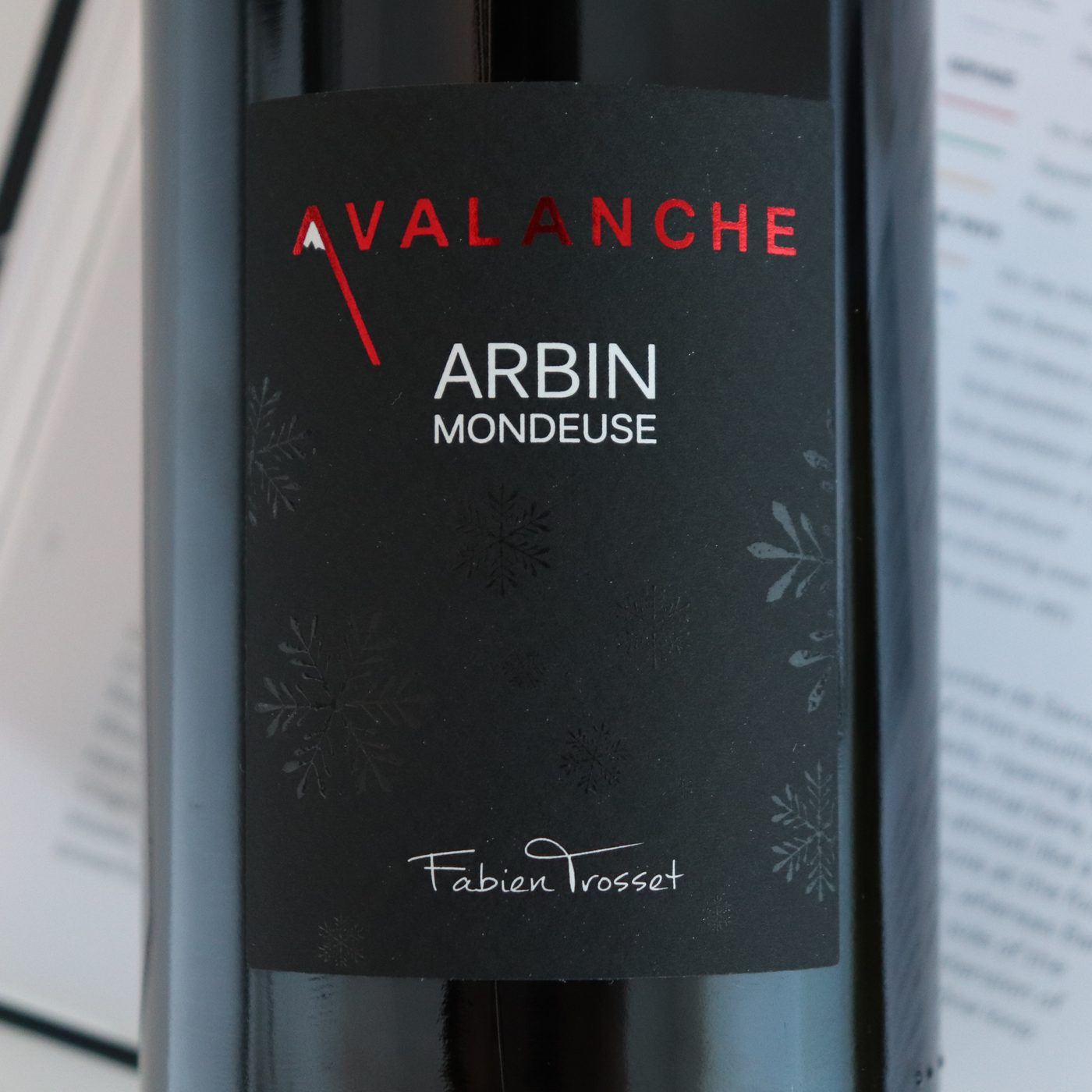 Fabien Trosset Avalanche Arbin Mondeuse 2020 — foto 2